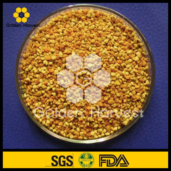 Multi Flower Pollen Multi Blume Biene Pollen