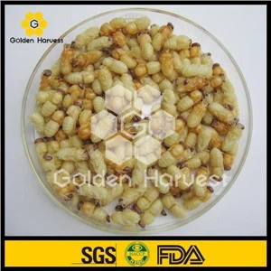 Lyophilisiertes Drohnen-Pupa-Pulver